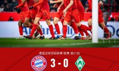 拜仁慕尼黑德甲遭遇惨痛失利，连胜纪录告终的简单介绍