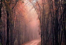 开运体育直播-台州客场大胜广东，赛季首胜引领新征程