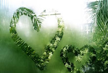 开运体育网页版-菲律宾击败印尼，梦想成真！女子足球史上一场令人振奋的晋级战役